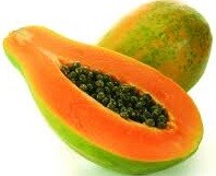 Fruteiro Papaya (60) image